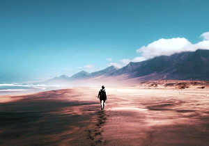 Nominal PCD 180mm M2 Gear Shaving Cutter with PA20°